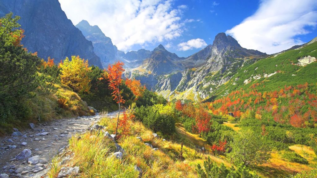 Jammu And Kashmir